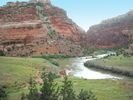 A bend in the muddy Dolores River flowing through green meadows and past steep red cliffs