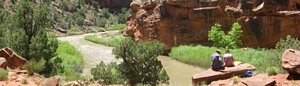 The Dolores River