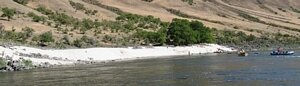 The Lower Salmon River