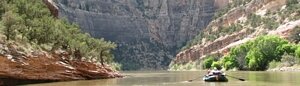 A raft floating on the Lower Yampa River