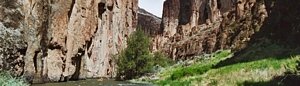 The Bruneau River