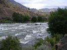 Whitehorse Rapid
