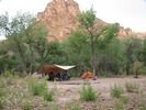 Jack Creek Camp #2