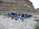 Rattlesnake Island Camp