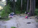 Big Tree Camp