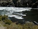 Wild Sheep Rapid