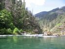 Looking across brilliant green water at the top of a rapid on the Illinois River