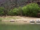 Rippling Brook Camp