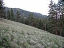 North Fork John Day Scenery