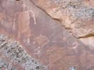 San Juan River petro glyphs