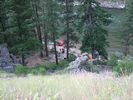 Looking down through the trees at Fawn Creek Camp, Main Salmon