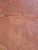 Petroglyphs on the Yampa River, Utah