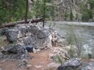 A river toilet set up behind a large rock near a rafting trip campsite