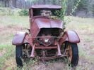 An old abandoned truck with a bush sprouting from its cab