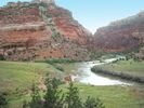 A bend in the muddy Dolores River flowing through green meadows and past steep red cliffs