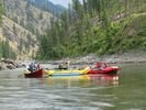Bright red and yellow rafts, cats, and a dory on a calm section of the Main Salmon, Idaho