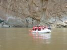 A paddle raft being paddled on the Yampa River with a cliff in the background