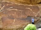 A woman looking up at a pictograph panel, Desolation Canyon, Utah